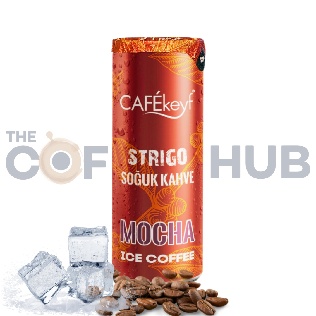 CaféKeyf Mocha Ice Coffee - 250 ml