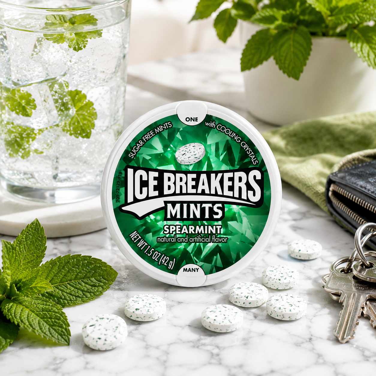 Ice Breakers Mints Spearmint Sugar Free Mints – 42 gm